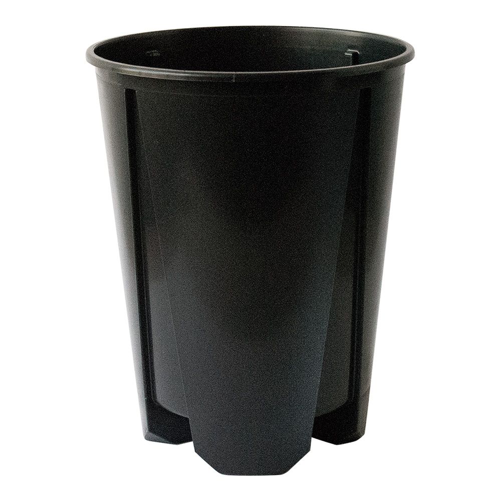 Vaso Antispiralizzazione Pasquini Ercole 5L – Per Radici Dense E Potatura Aerea, Riduce I Tempi Di Crescita